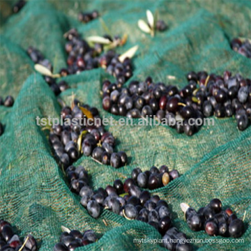 China Supply 100% HDPE olive harvest net/olive net for agriculture (32g-150g olive net )